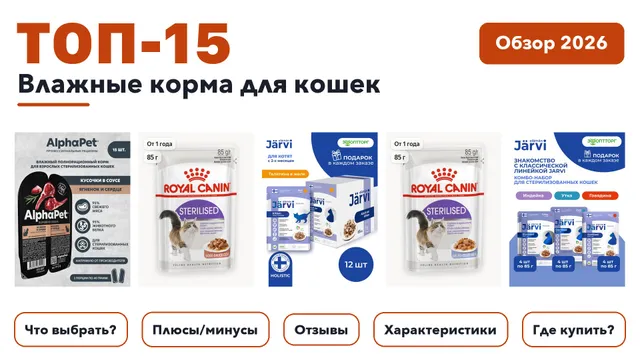 Лучшие влажные корма для кошек 2026: отобрали из более 160 товаров с высоким рейтингом