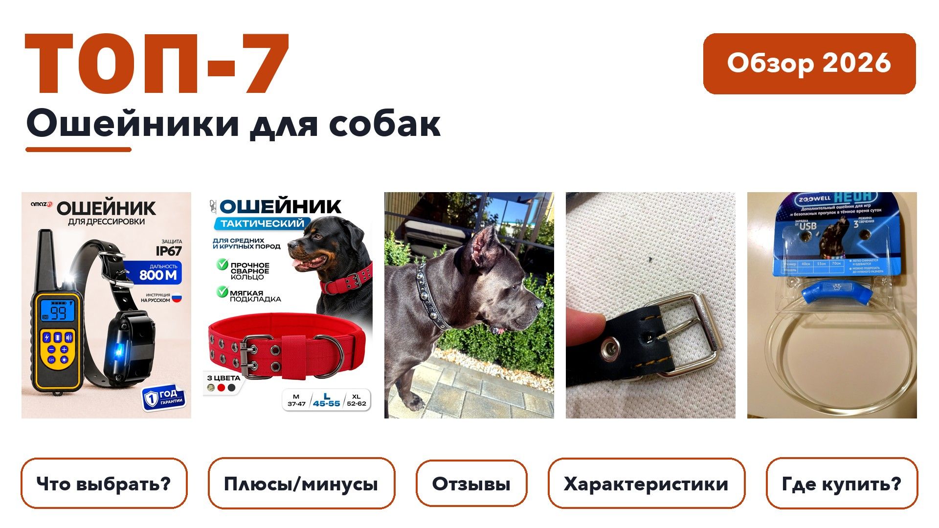 Популярные ошейники для собак 2026: выбрали лучшее по более 150 отзывам покупателей