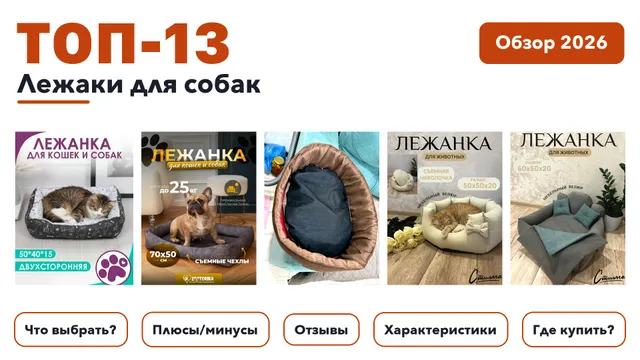 Лучшие лежаки для собак 2026 на основе более 680 реальных отзывов покупателей