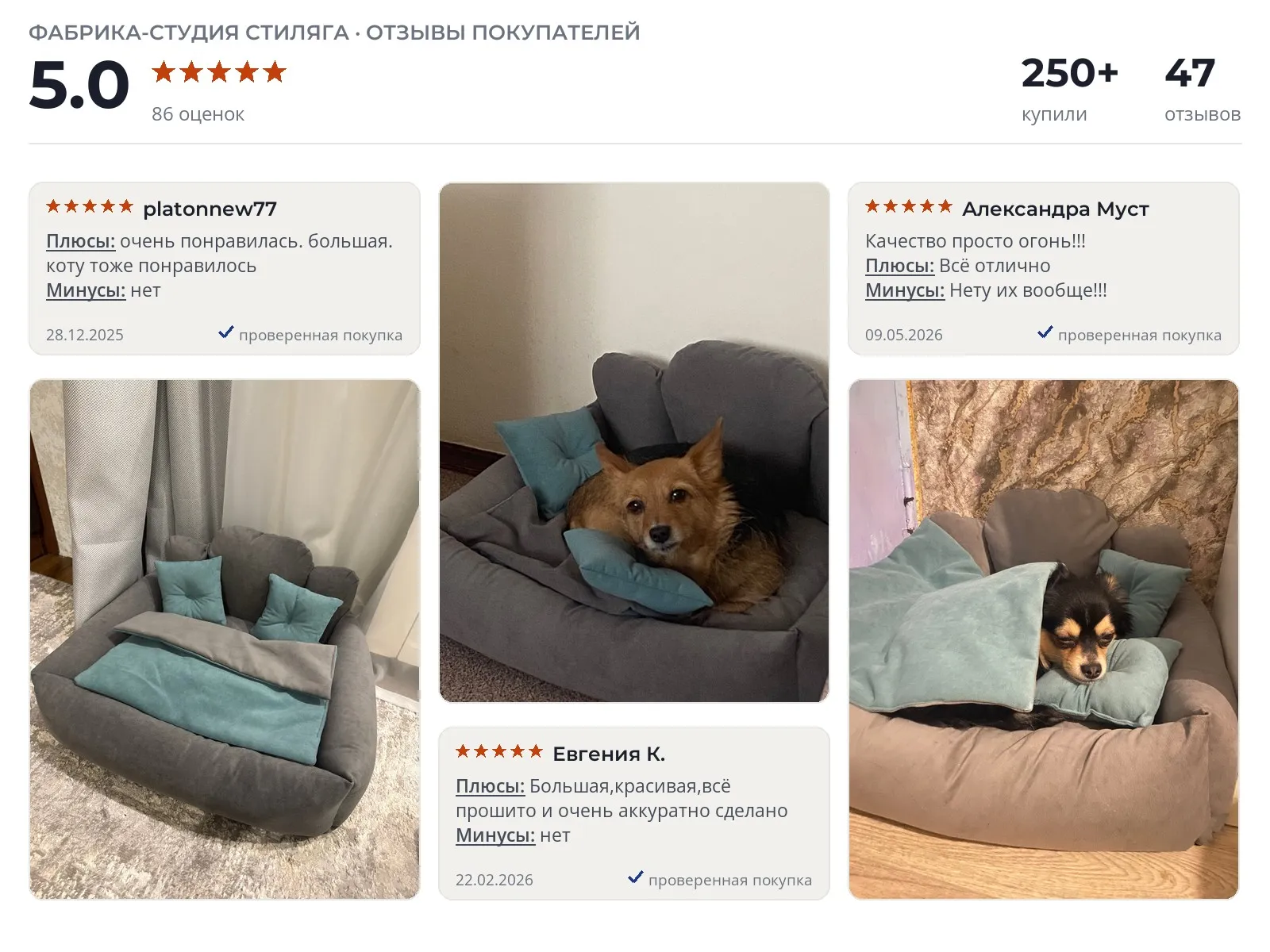Лежанка для собак Фабрика-студия Стиляга Принц - реальные фото и отзывы покупателей
