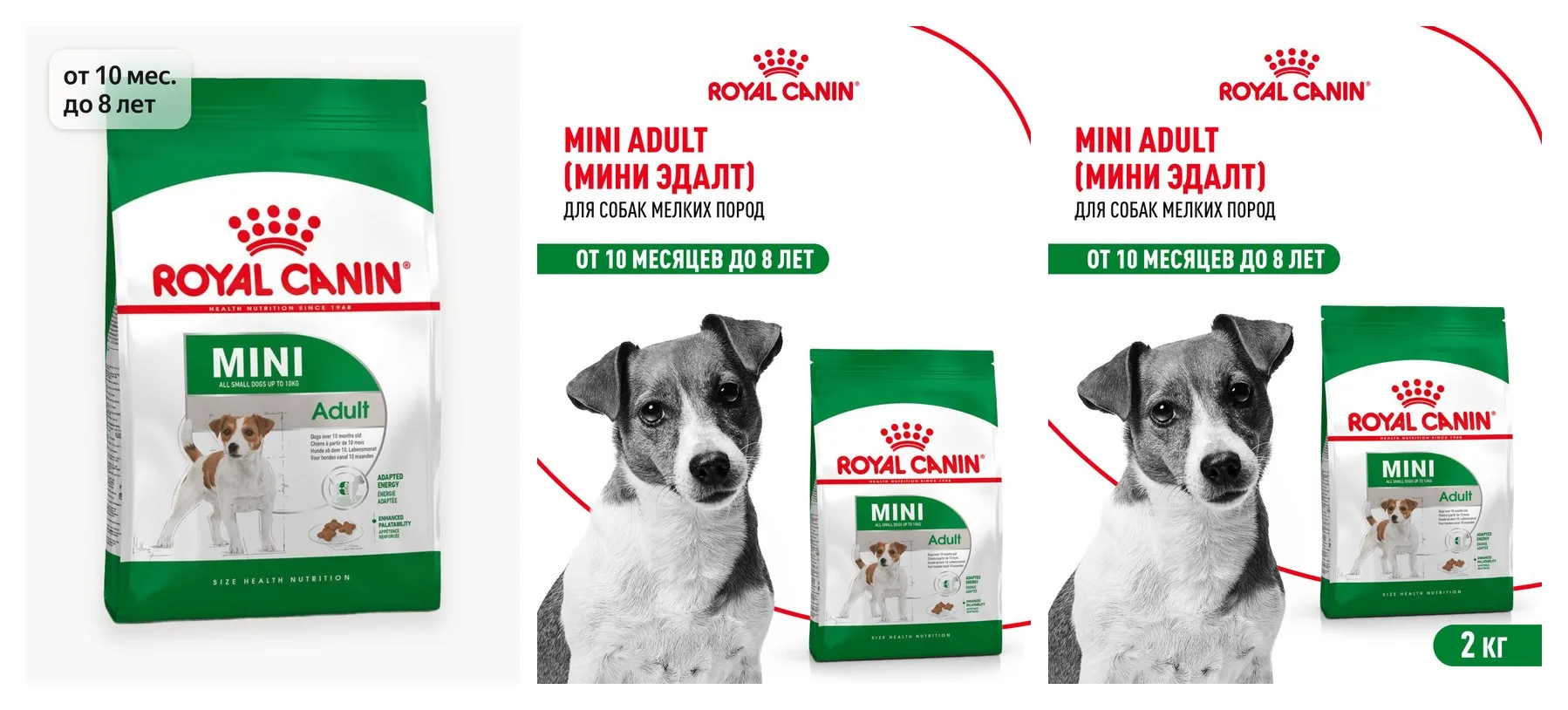 Сухой корм для собак Royal Canin Mini Adult для мелких пород, 2 кг Сухой корм для собак Royal Canin Mini Adult для мелких пород, 2 кг
